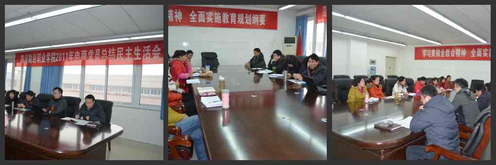 电商党员总结_conew1.jpg
